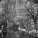 Ansel Adams, “Merced River, Cliffs, Autumn”