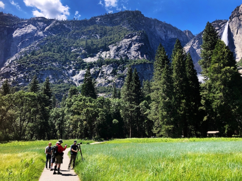 Yosemite Valley Camera Walks